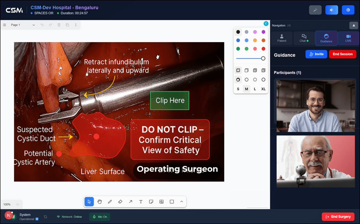 CSM mentoring and remote guidance interface